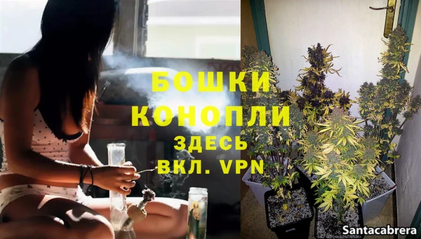 a pvp Белокуриха