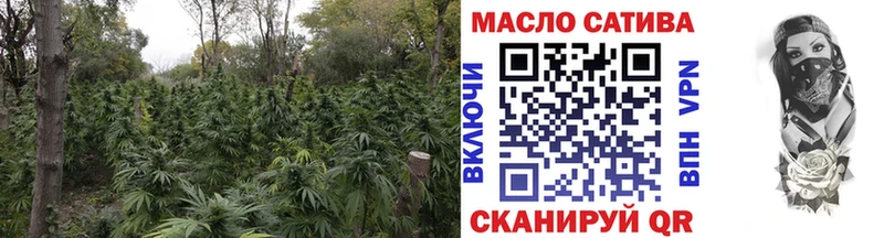 blacksprut зеркало  Онега  ТГК жижа 