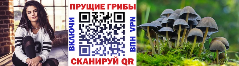 KRAKEN ONION  Онега  Псилоцибиновые грибы MAGIC MUSHROOMS  где купить наркоту 
